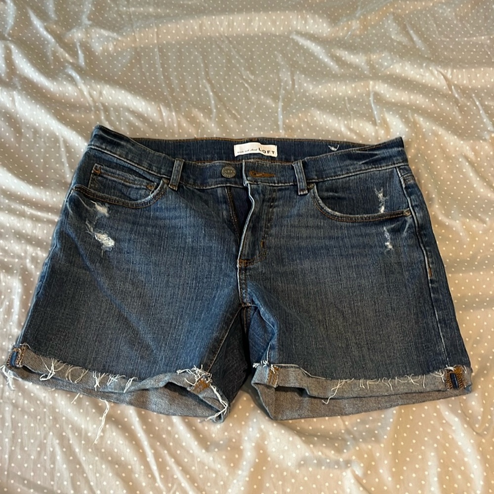 Loft Shorts
